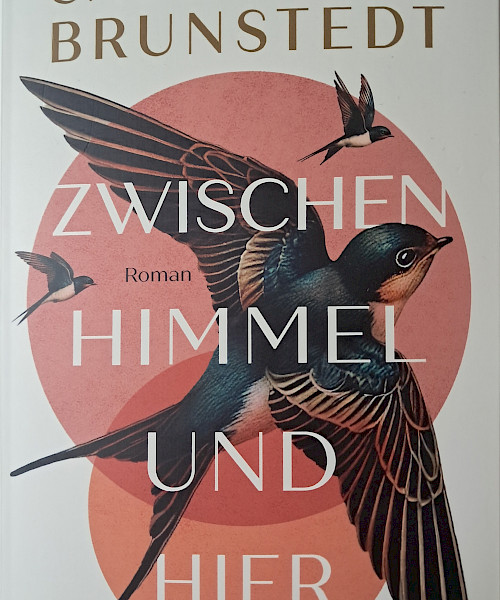 Cassandra Brunstedt: Zwischen Himmel und hier